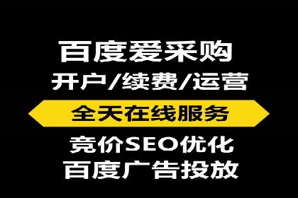 案例解析：百度推广排名提升的实战技巧